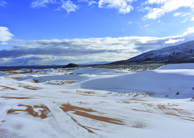 Hashas Zineddine - Hashas-Zineddine-ALGERIE